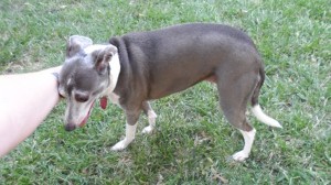 SAM_0940